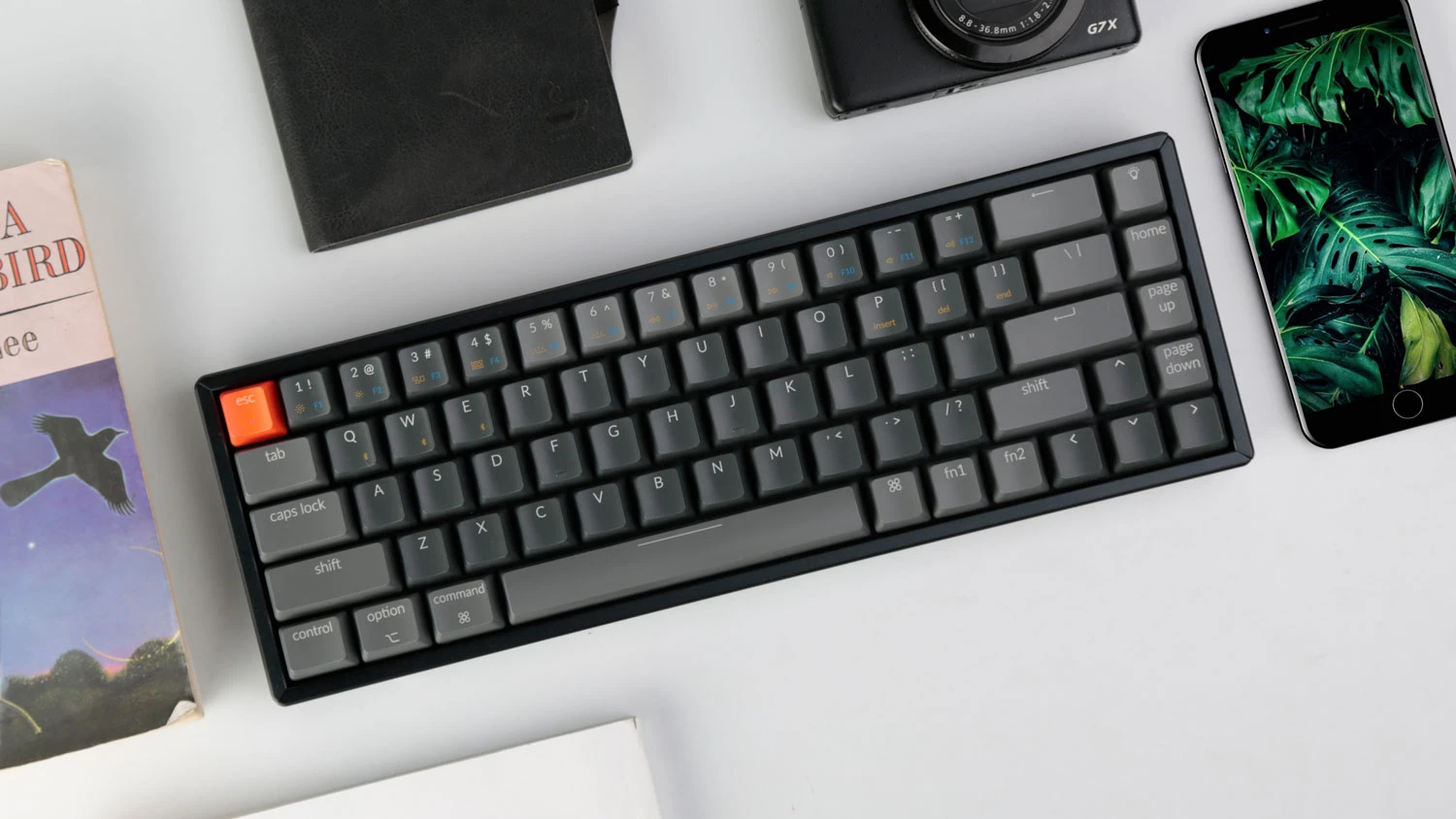 pf-f876bb32–k6cp1